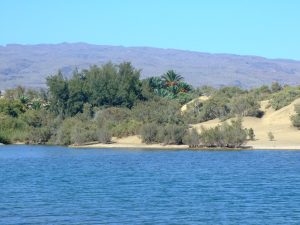 Gran Canaria Gran Canaria