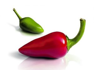 peperoncino